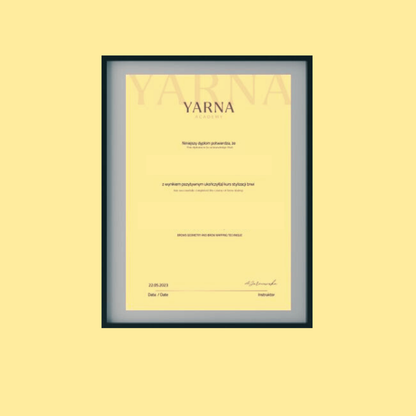 Kurs stylizacji brwi