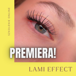 Szkolenie online: LAMI EFFECT - efekt laminowanych rzęs w przedłużaniu rzęs